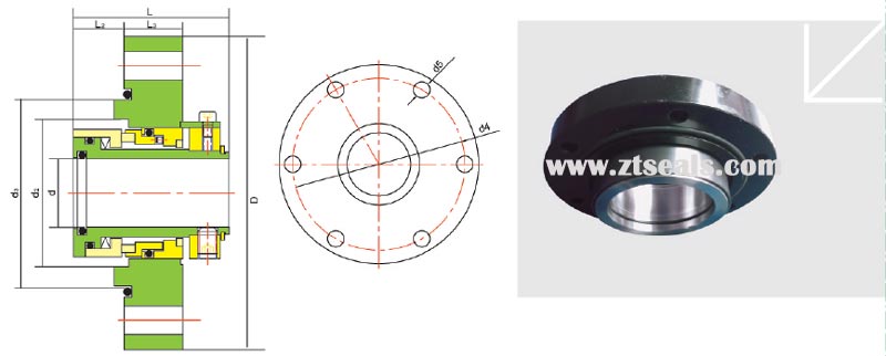 mechanical seal